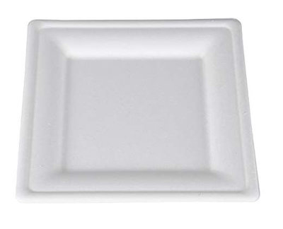 18630 8' SQUARE PAPER PLATES